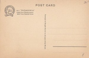 Postcard East Asiatic Company Ltd Copenhagen MS Patagonia