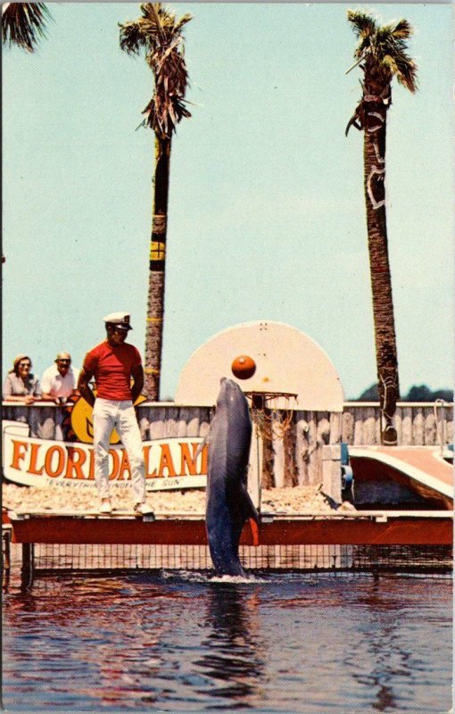 Florida Sarasota Floridaland Basketball Playing Porpoise