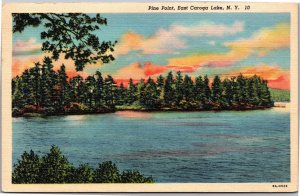 Postcard NY Caroga Pine Point East Caroga Lake