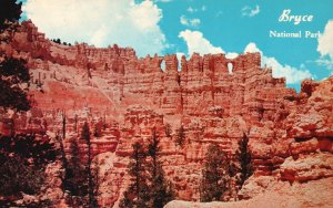Vintage Postcard Bryce Canyon National Park Spectacular Formation Wall Of Window