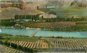 c1910 Andrews Perrine Ranch Farming Blue Lakes Snake River Idaho Postcard 3202