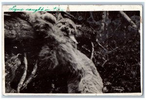 Manitoba Canada Postcard RPPC Photo Hunting Lynx Trap The Past 1918 Vintage