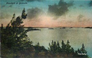 British Overseas Territory moonlight at Bermuda vintage scenic postcard