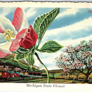 1973 MI Michigan Flower Apple Blossom Farm Barn Ken Haag Painting Art PC A335