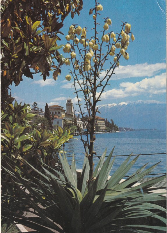 LAKE GARDA, Italy - Vintage POSTCARD