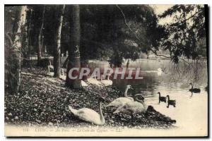 Postcard Old Lyon In Park Corner Swans