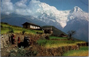 Katmandu Nepal Hotel de l'Annapurna Barley Fields Annapurna River Pokhara vtg