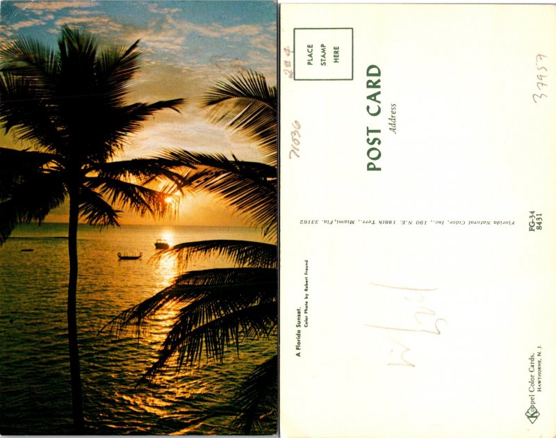 FLorida Sunset Boats Postcard Unused (37957)