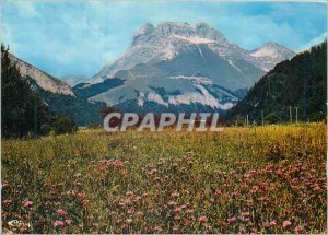 Postcard Modern Lus la Croix Haute (Drome) 1050m alt Mountain Flowers in fron...