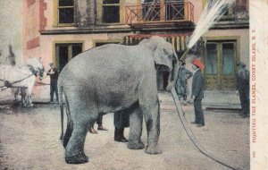 Elephant Fighting The Flames At Coney Island Firefighter 1905 USA Antique Pos...