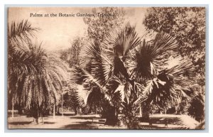 Palm Trees In Botanic Gardens Trinidad BWI UNP Davidson & Todd DB Postcard P18