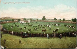 Judging Horses Toronto Exhibition Toronto Ontario Horse Show Unused Postcard F33