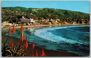 Vtg Laguna Beach California CA Aloe Plants Heisler Park Shore 1950s Postcard