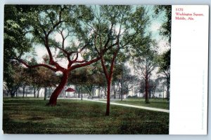 c1905's Mobile Alabama AL Washington Square Bandstand Trees Pathways Postcard