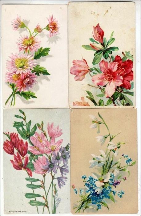 4 - General Greeting Cards with Flowers