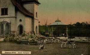 Argentina Buenos Aires Jardin Zoologico Vintage Postcard 08.53