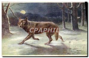 Postcard Old Wolf Hunting