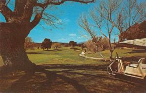 Warner Springs California Golf Course Scenic View Vintage Postcard J71332