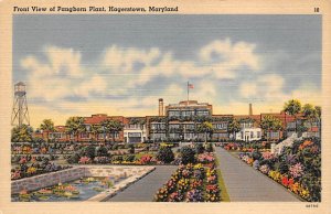 Pangborn Plant Modern Card - Hagerstown, Maryland MD  