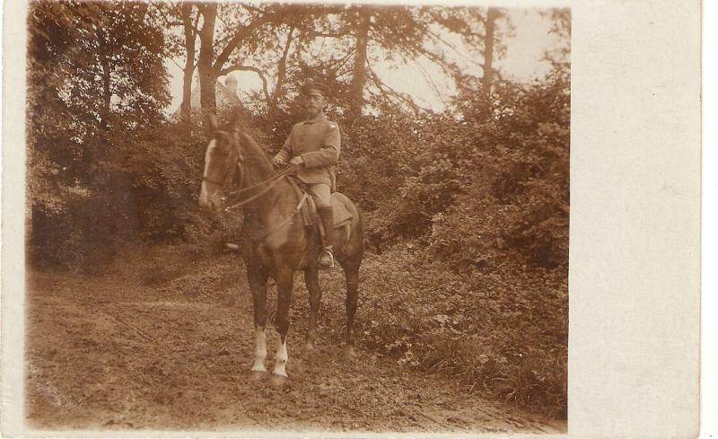 Horses. German mililitary in his horse  Antique German postcard.