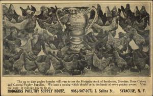 Syracuse NY Hodgkins Poultry Supply House Chickens Trophy c1910 Postcard