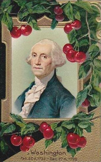 George Washington Washington's Birthday