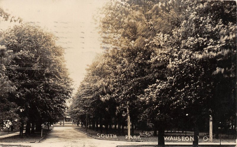 G4/ Wauseon Ohio RPPC Postcard 1908 South Park Scene Trees 