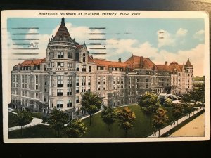 Vintage Postcard 1929 American Museum of Natural History New York City