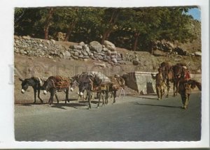 471018 Afghanistan Nomads Salang Pass Old postcard