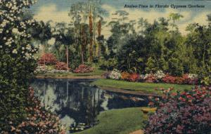 Florida State Capitol Tallahassee Hippostcard