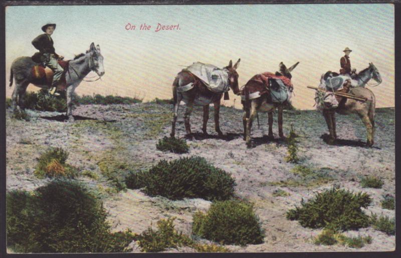 Donkeys,On the Desert