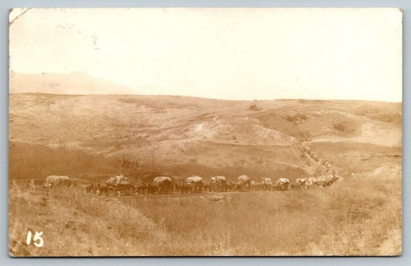 RPPC 1913  Schofield Barracks  Hawaii US Army  1st Infantry Wagon Train Postcard