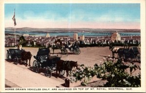 VINTAGE POSTCARD HORSE DRAWN VEHICLES ON TOP OF MOUNT ROYAL MONTREAL QUEBEC