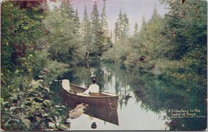 Tributary to Lake of Bays Muskoka Ontario Grand Trunk Railway Postcard F33