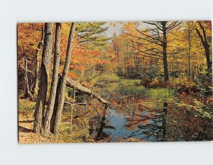 Postcard - Autumn River Nature Scenery - Greetings from Carmi, Illinois