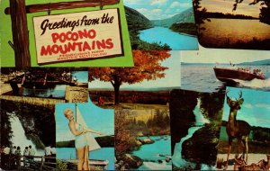 Pennsylvania Pocono Mountains Greetings With Multi Views