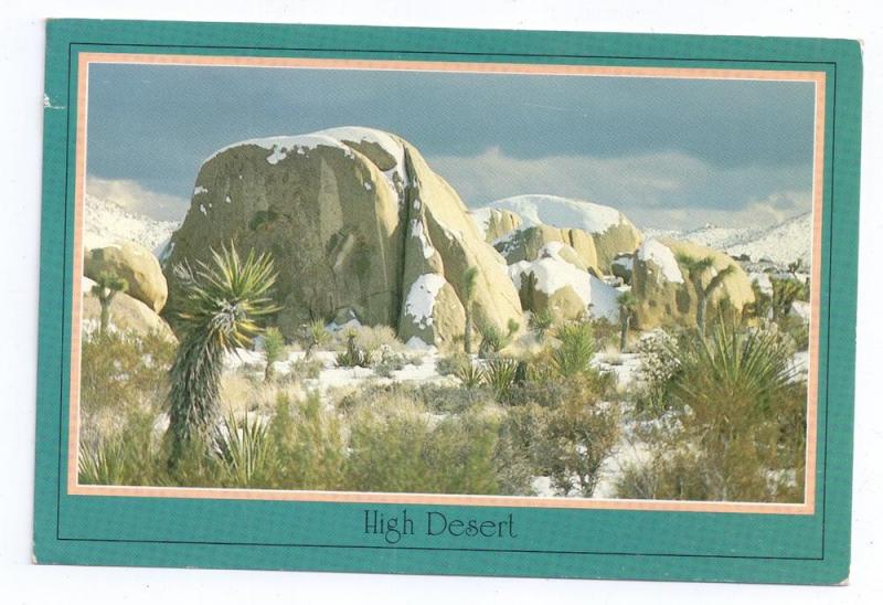 Joshua Tree National Park California High Desert Winter PC