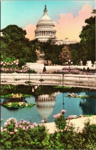 VINTAGE POSTCARD IDYLLIC SCENE AT THE UNITED STATES CAPITOL WASHINGTON D.C.