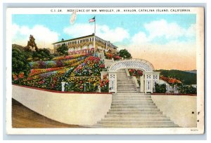 Vintage Catalina Island California Postcard P167E