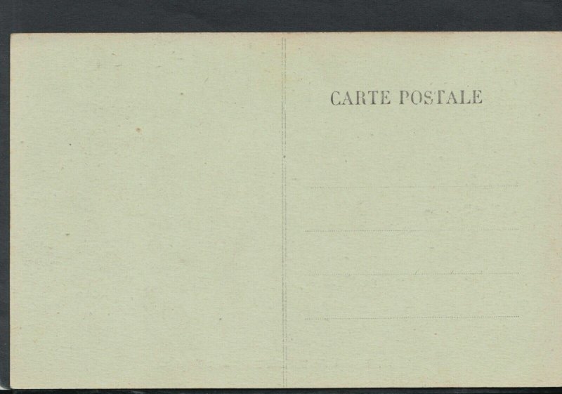 France Postcard - Grottes De Betharram - L'Elephant   T9149