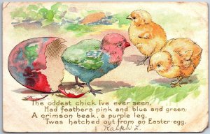 VINTAGE POSTCARD THE ODDEST CHICK I'VE EVER SEEN RARE POSTMARK HARBESON DELAWARE