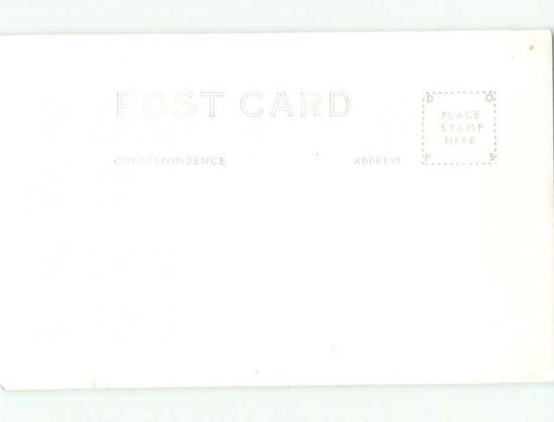 rppc Pre-1942 ANTIQUE COVERED WAGON PULLED BY BUFFALO AC8333