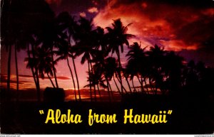 Hawaii Aloha With Beautiful Sunset 1959