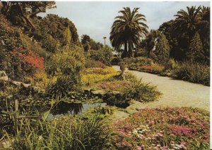 Cornwall Postcard - The Gardens at Tresco - Isles of Scilly - Ref ZZ4863