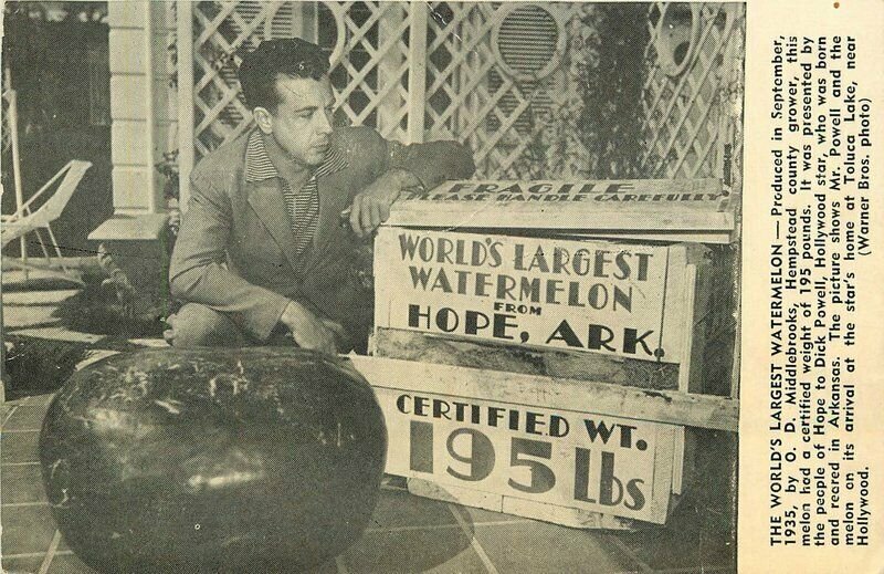 Hope Arkansas World's largest Watermelon 1930s Farm Agriculture Postcard 21-7529