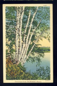 Jackman, Maine/ME Postcard, Peaceful Lake & Birch Trees Scene