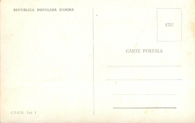 Romania Poiana tapului vedere spre zamora Postcard