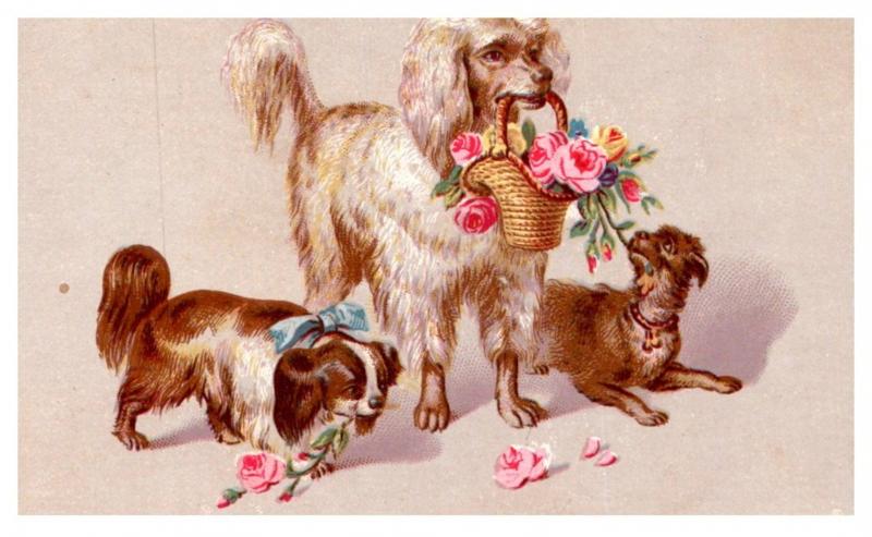 Dogs , Flowers ,   Victorian  Card