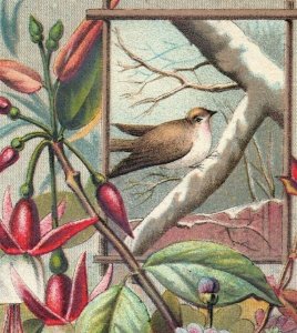 1880s-90s Actor Denman Thompson As Joshua Whitcomb Lyceum Theatre P221