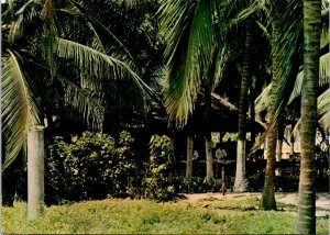 VINTAGE CONTINENTAL SIZE POSTCARD PALM TREES THATCHED ROOF RESTAURANT IN TOGO
